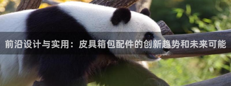 必一体育登录APP下载
