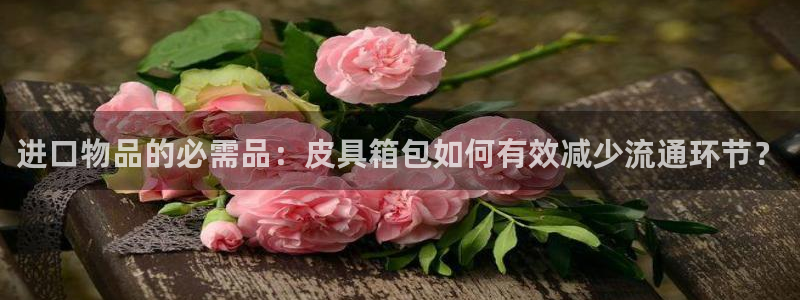 必一体育运动平台官网