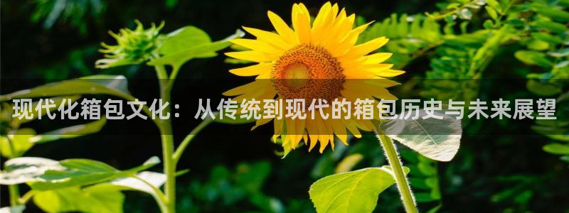 必一体育运动官网