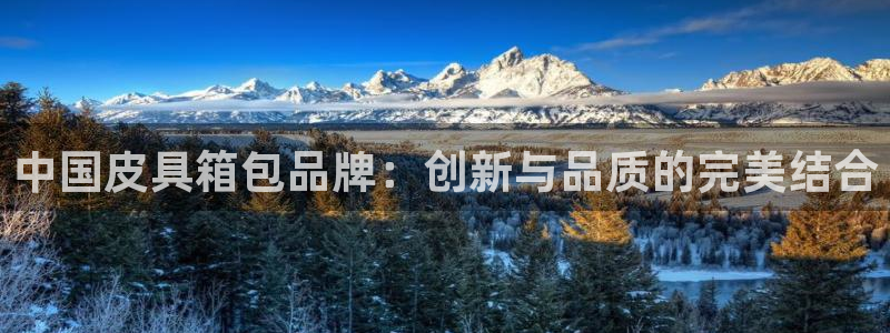 必一体育在线玩