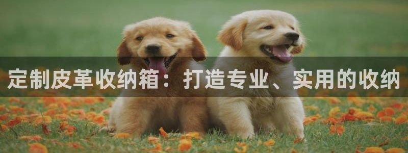 必一体育运动app