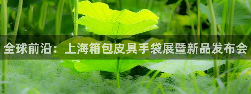 必一体育官方入口