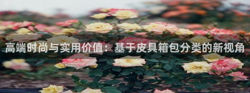 必一体育官网网站
