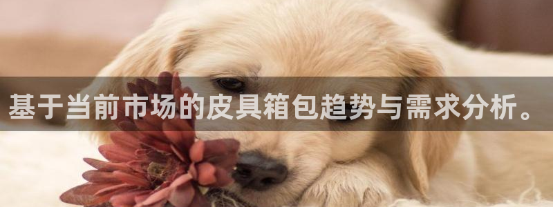 必一体育网址