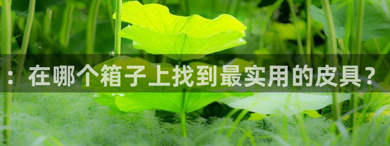 必一体育网页版登录