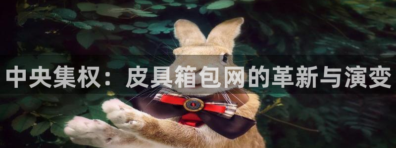 必一体育怎么下载