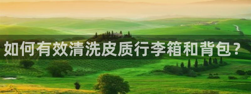 必一运动sport爱查股
