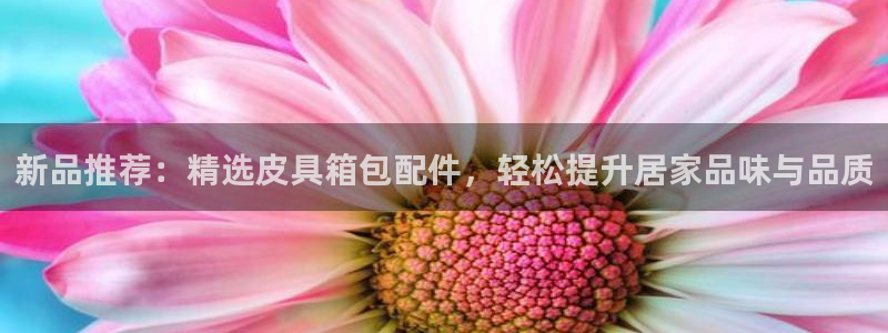 必一体育在线官网