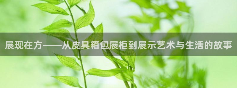 必一体育登入