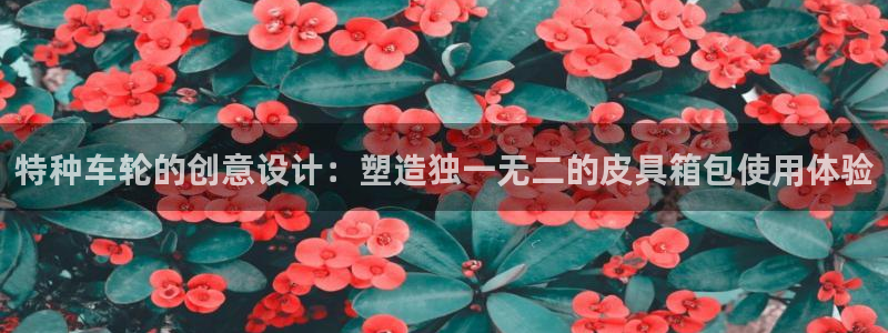 必一体育登录入口APP