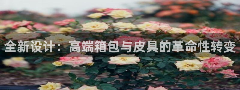 必一运动·(B-Sports)土豆