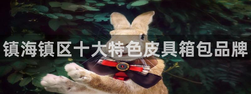 必一体育APP
