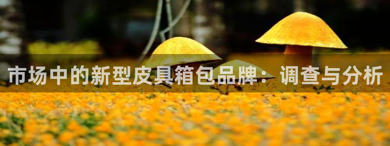 必一体育网页登录版官网