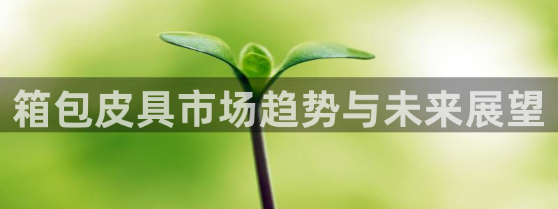必一体育登录入口APP