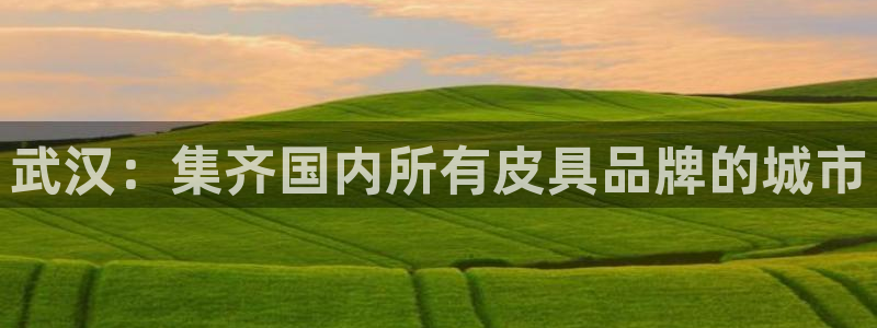 必一体育秀给网