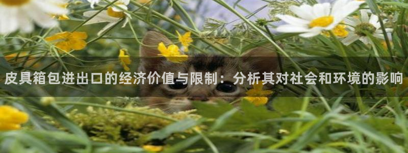 必一体育sport网页版