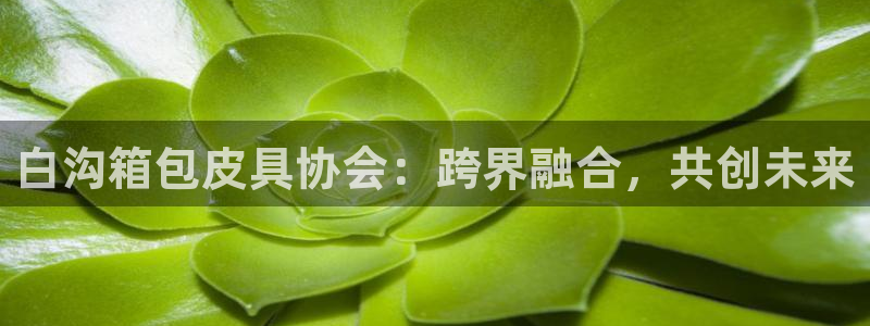 必一体育app官方下载