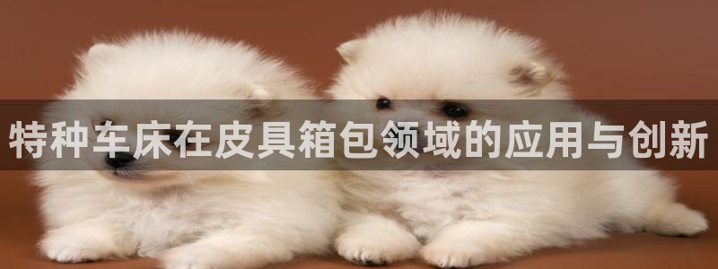 必一体育官网ios下载