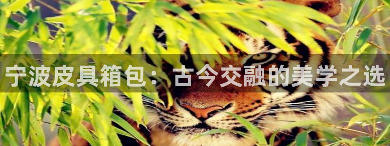 必一运动体育app