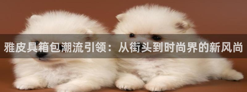 必一体育app官方网站