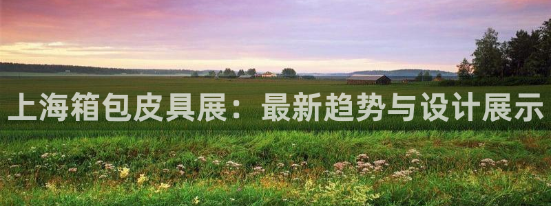 必一体育sport官方网站