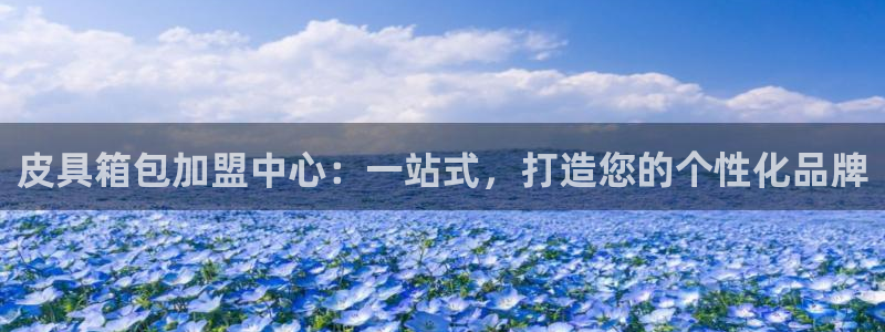 必一体育登录入口APP