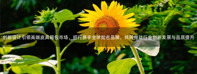 必一体育下载意思