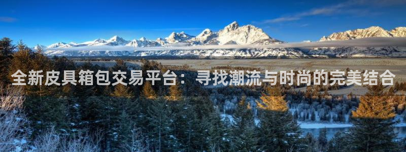 必一体育在线登录