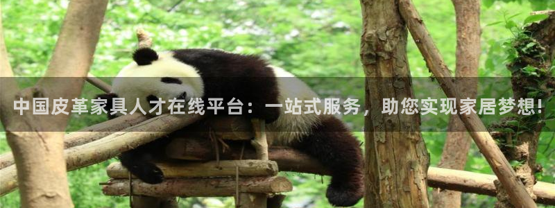 必一体育app官方下载