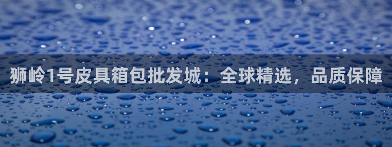 必一运动 b 体育素描版