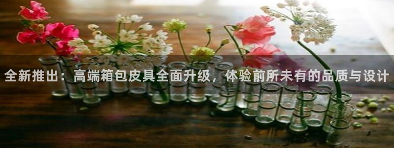 必一体育下载登入