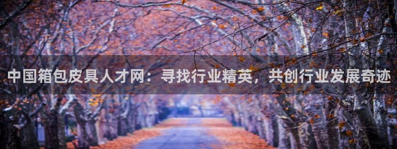 必一运动官网装机吧