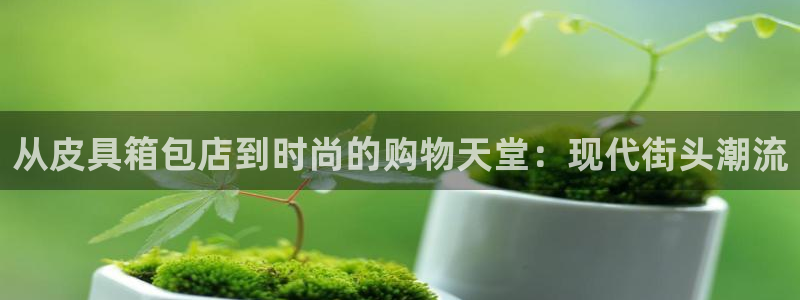 必一体育登录入口