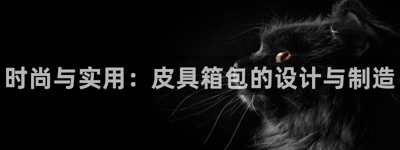 必一体育游戏玩法