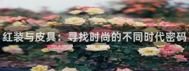 必一体育APP下载安装