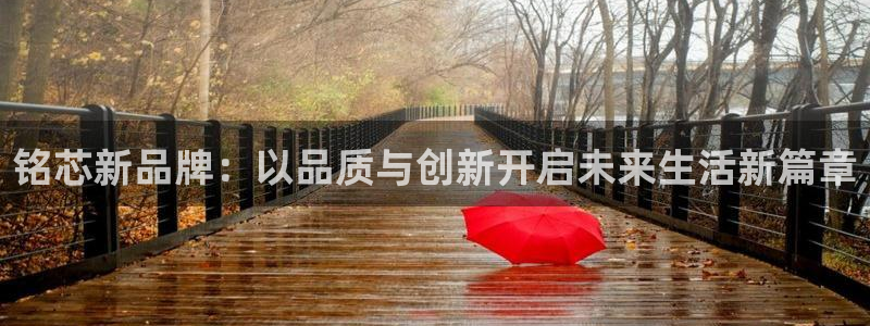 必一体育官方下载入口