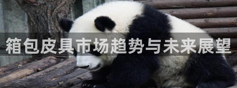 必一体育在线玩