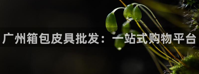 必一运动官网入口