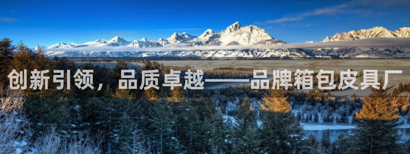 必一体育可靠吗