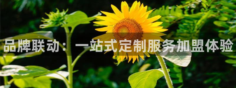 必一体育下载app下载