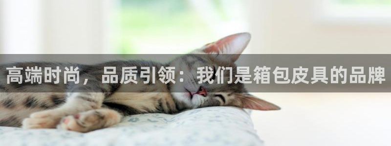 必一体育运动官网