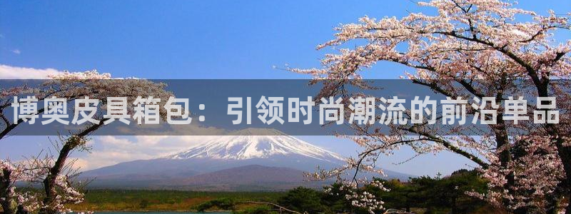 必一体育sport官方网站