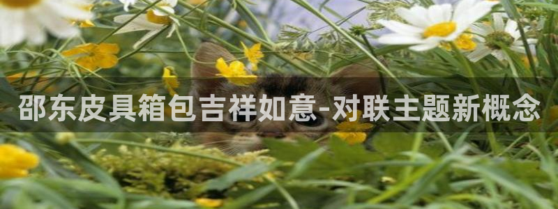 必一运动sport爱查股